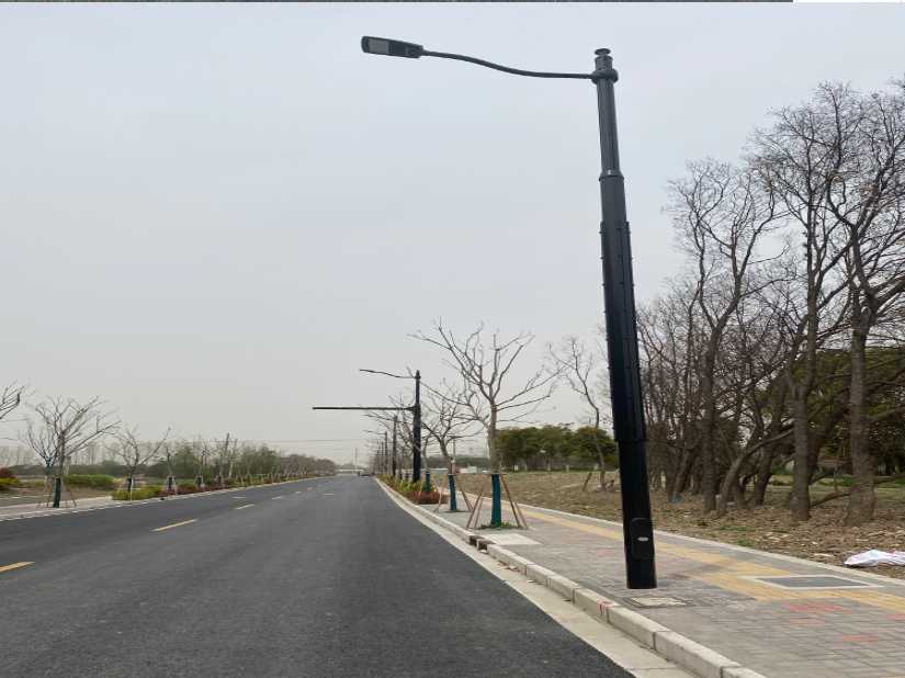 蕲春县上海综合杆 太阳能路灯工程